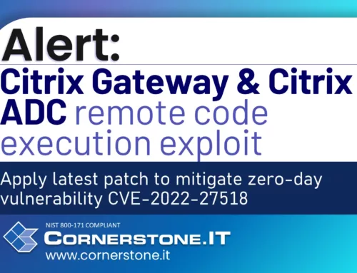 Citrix Gateway & Citrix ADC remote code exploit (CVE-2022-27518)